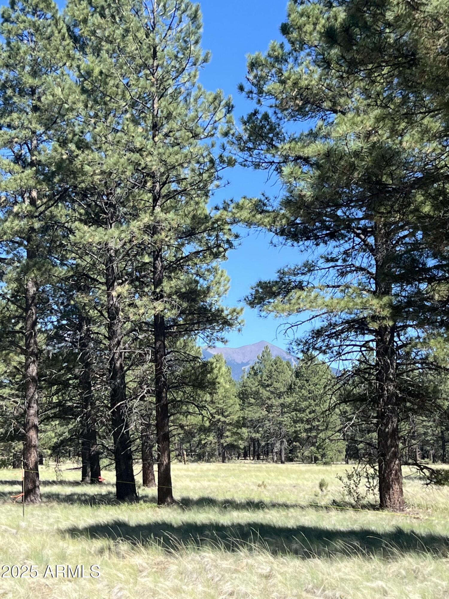0 Forest Road 193 Street 0, Flagstaff, AZ 86001 — Photo 1 of 7