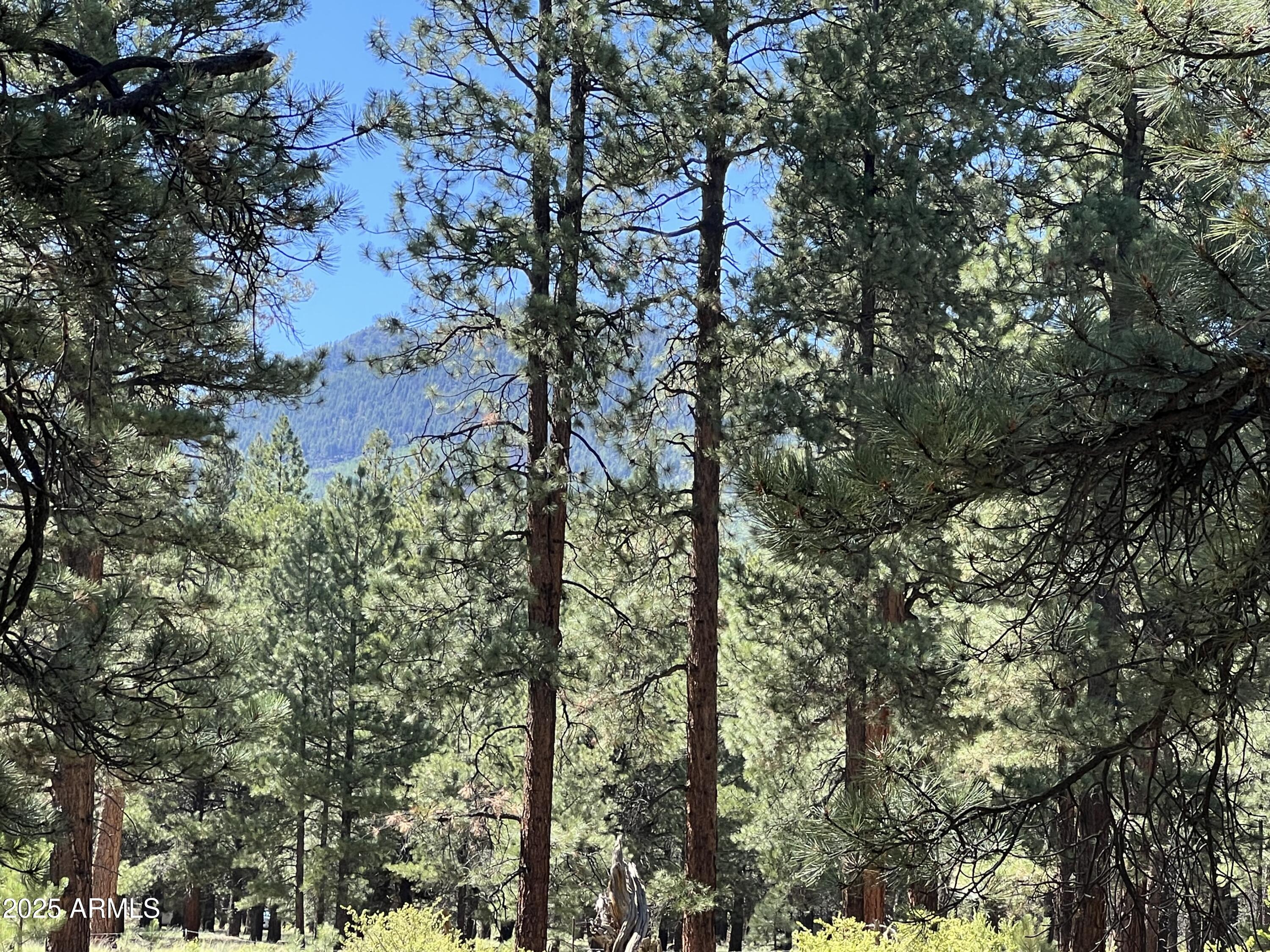 0 Forest Road 193 Street 0, Flagstaff, AZ 86001 — Photo 1 of 5