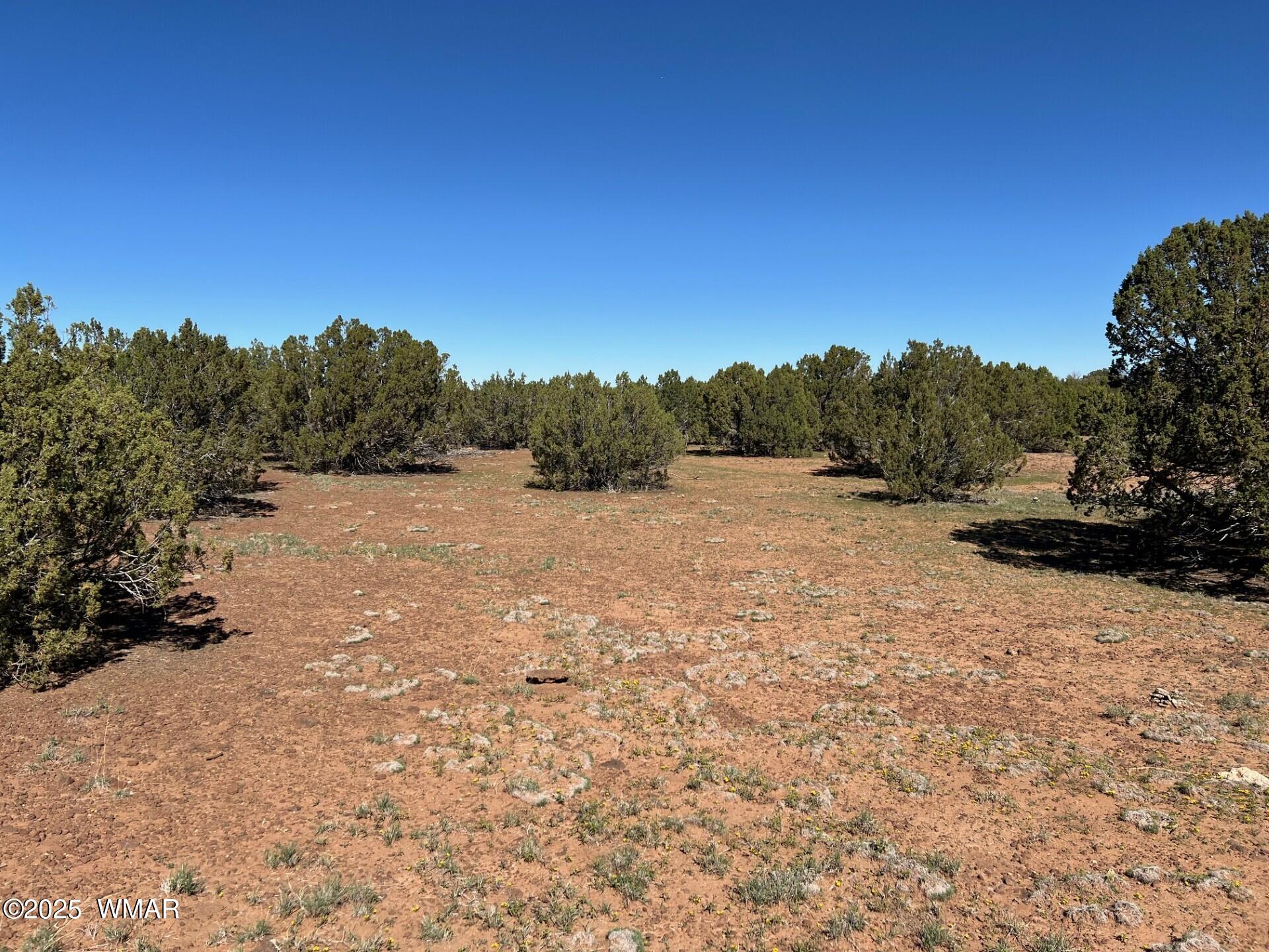8656 Bonito Drive, Show Low, AZ 85901