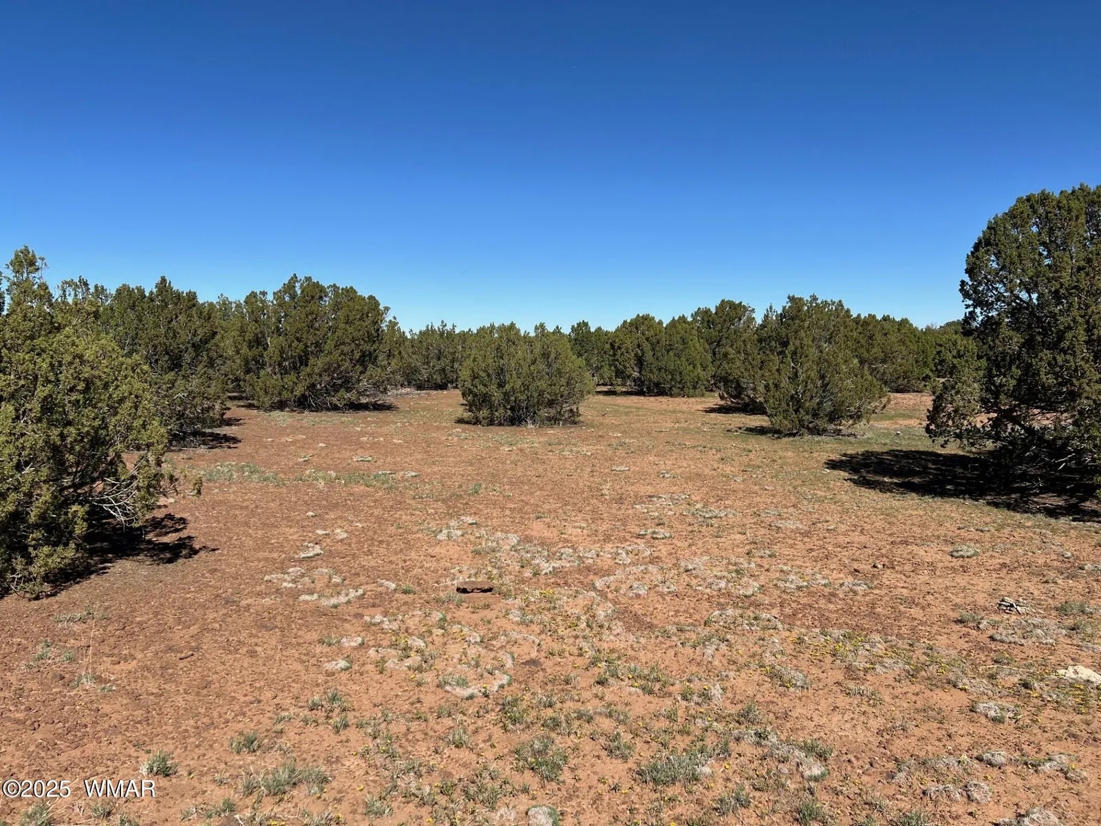 8656 Bonito Drive, Show Low, AZ 85901 — Photo 1 of 9