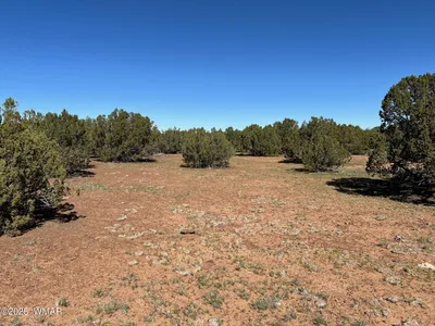 8656 Bonito Drive, Show Low, AZ 85901