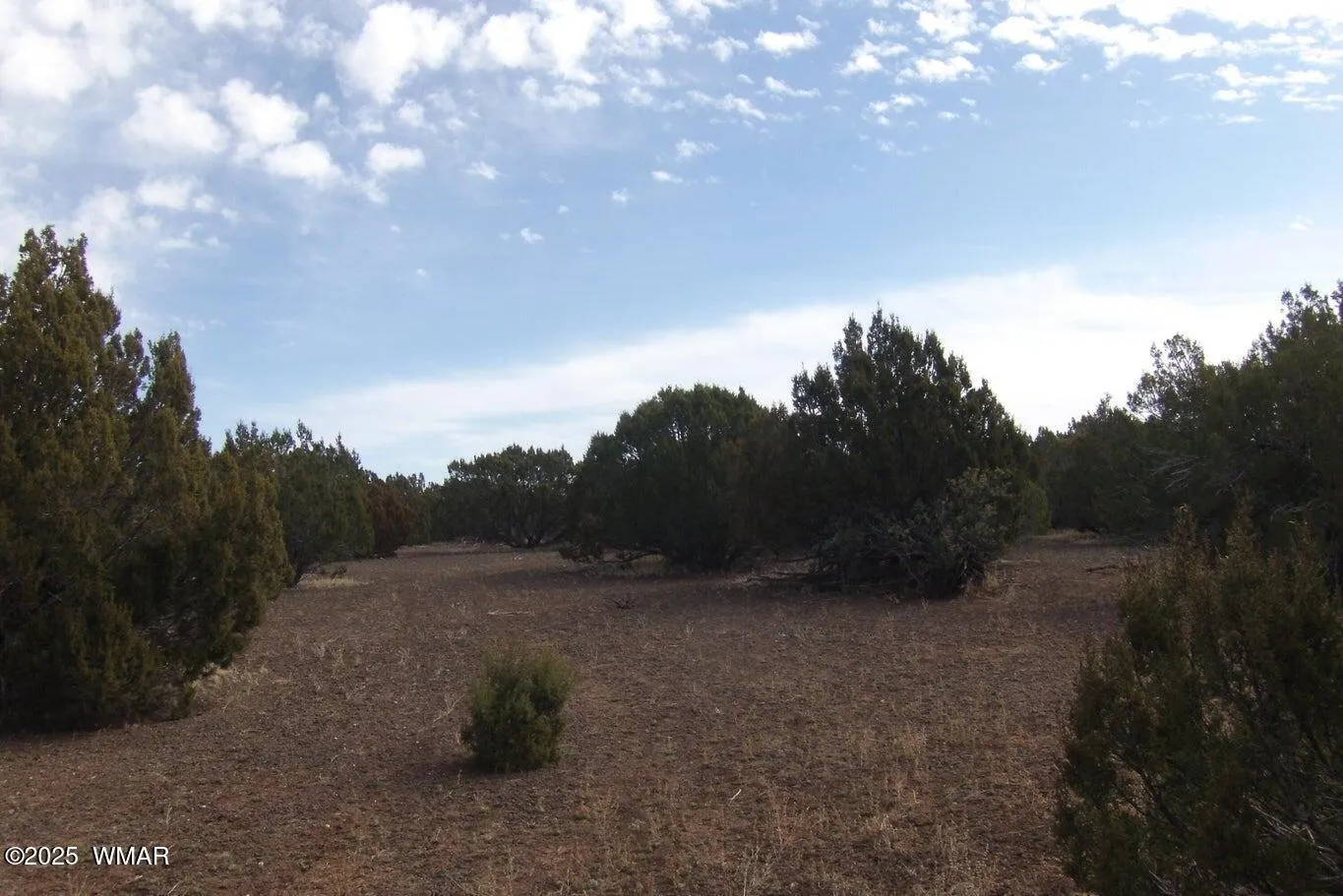 TBD Idlewind Ranch #2 Lot 77A, Show Low, AZ 85901 — Photo 1 of 4