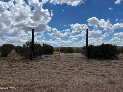4498 S Pinto Road, Snowflake, AZ 85937