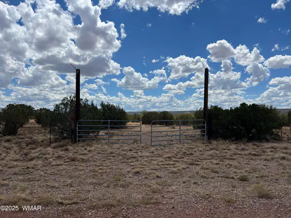 4498 S Pinto Road, Snowflake, AZ 85937