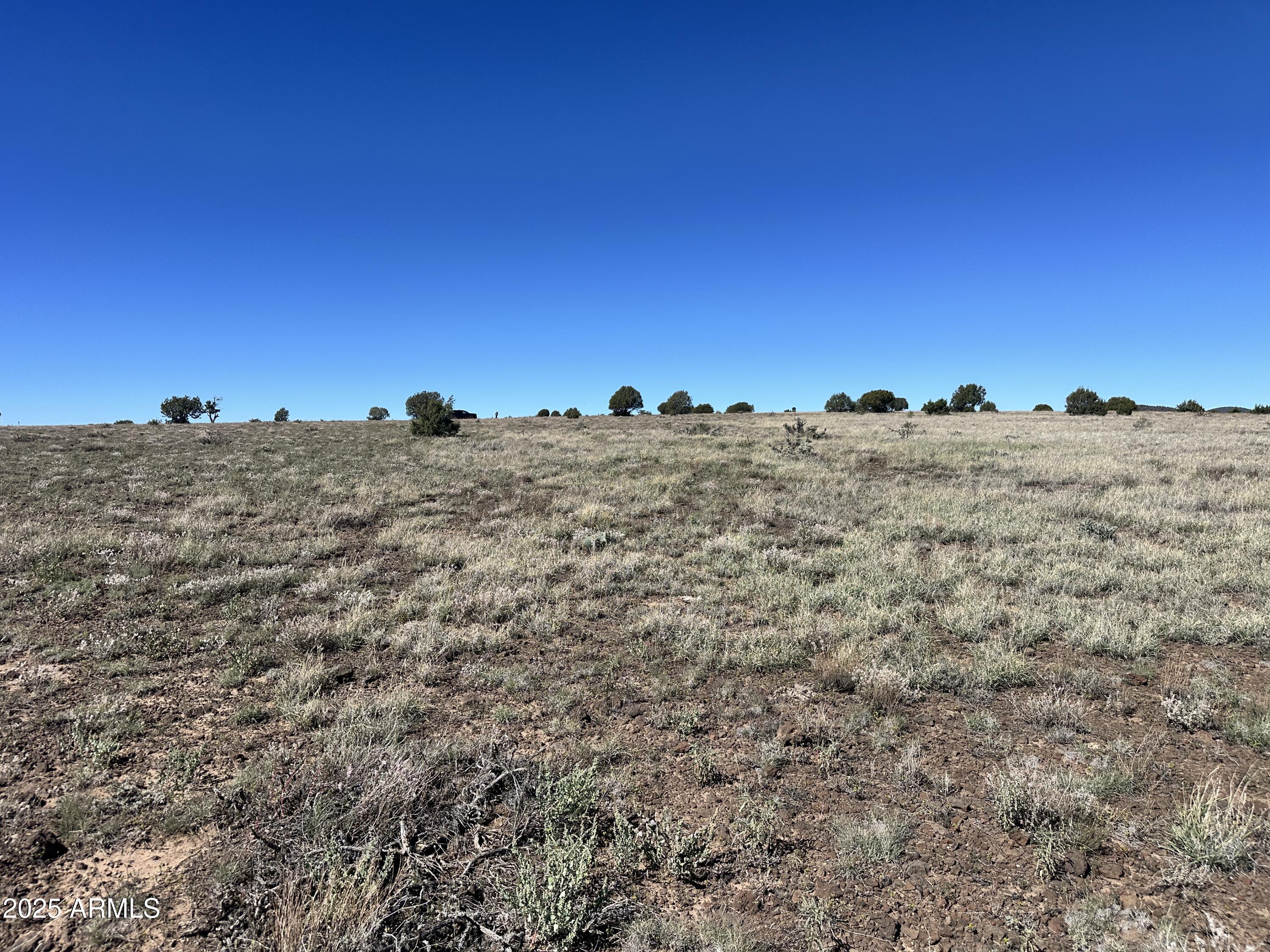 0 Dozer -, Ash Fork, AZ 86320 — Photo 1 of 1