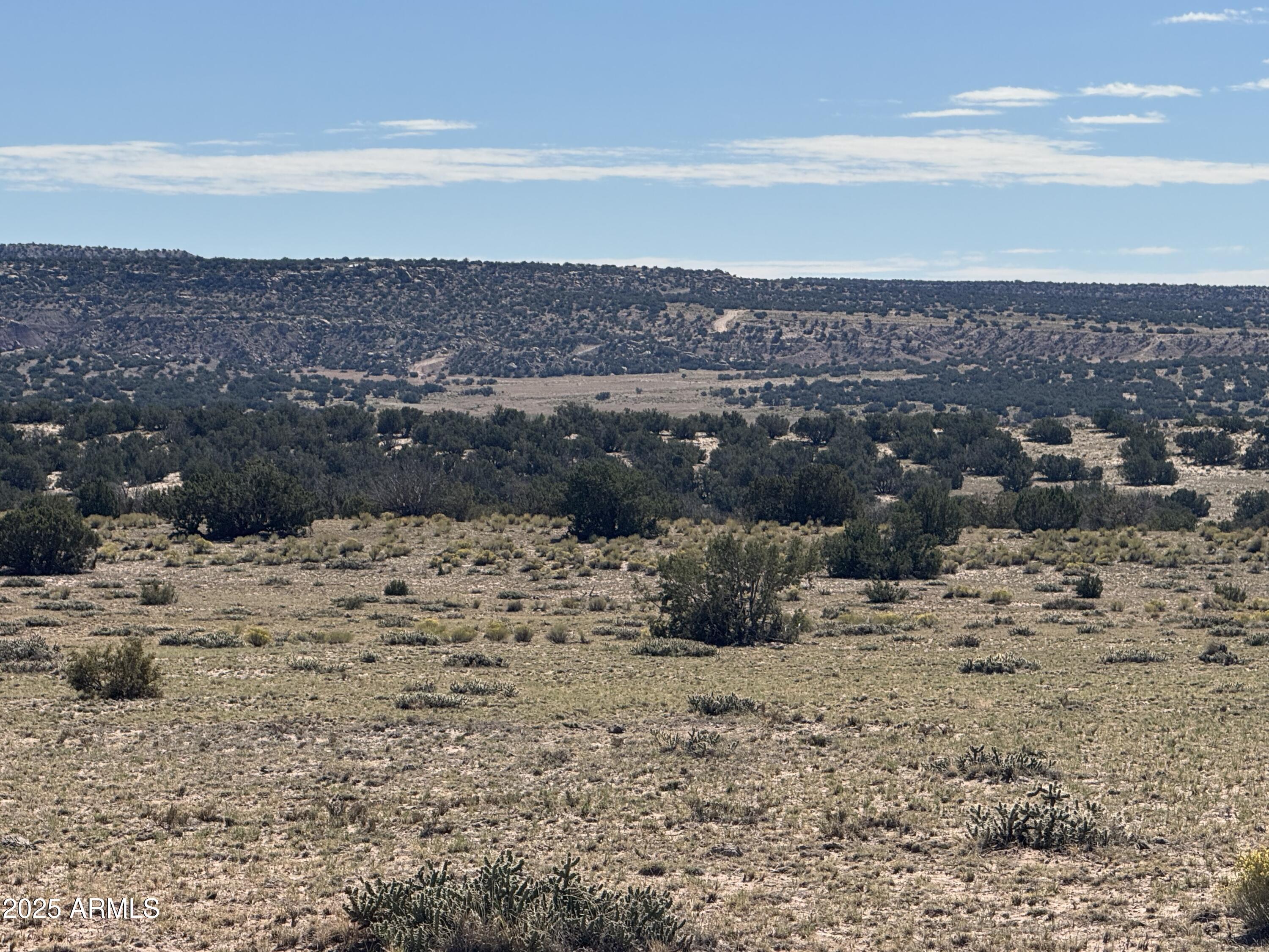 Lot 746 Woodland Valley Ranch 746, St Johns, AZ 85936 — Photo 1 of 12
