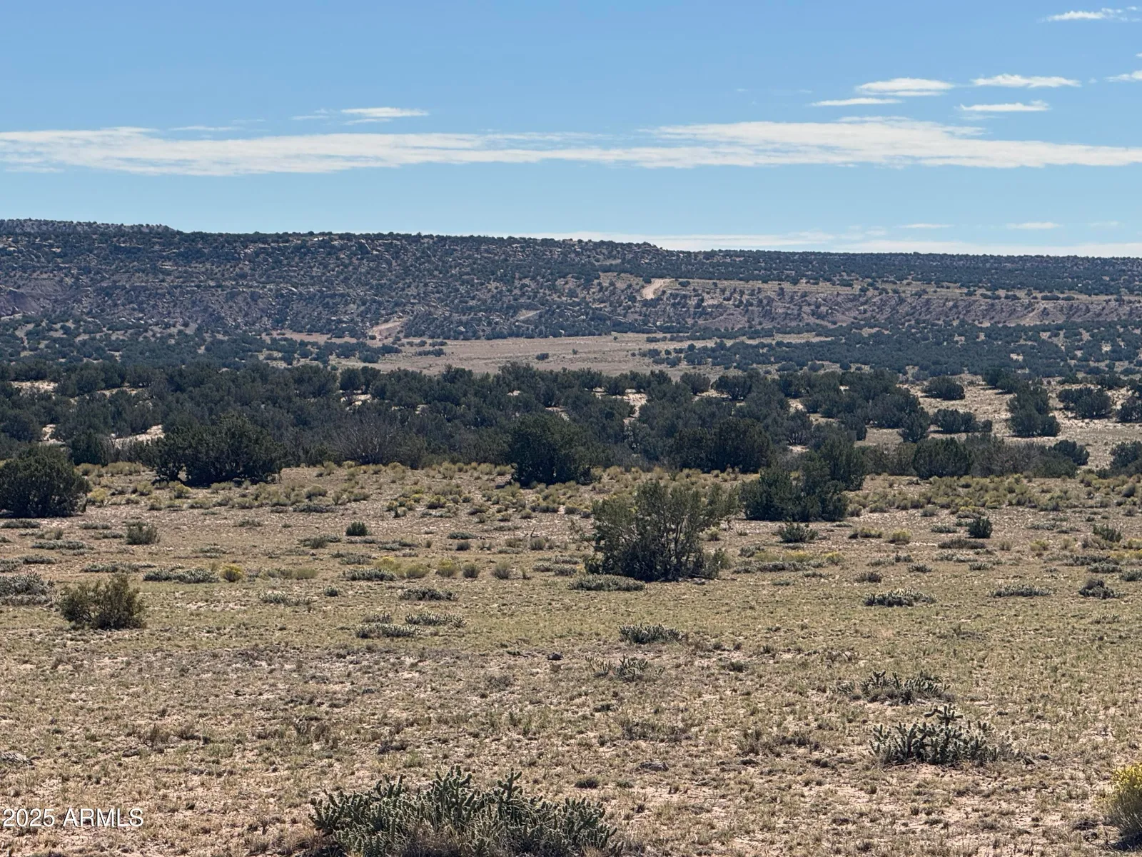 Lot 746 Woodland Valley Ranch 746, St Johns, AZ 85936 — Photo 1 of 12
