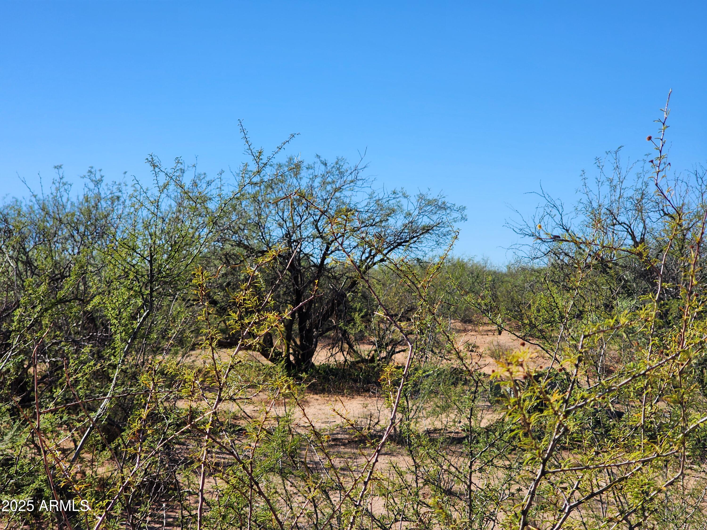 lot s Calle Molinar 350-350 -, Sierra Vista, AZ 85650 — Photo 1 of 11