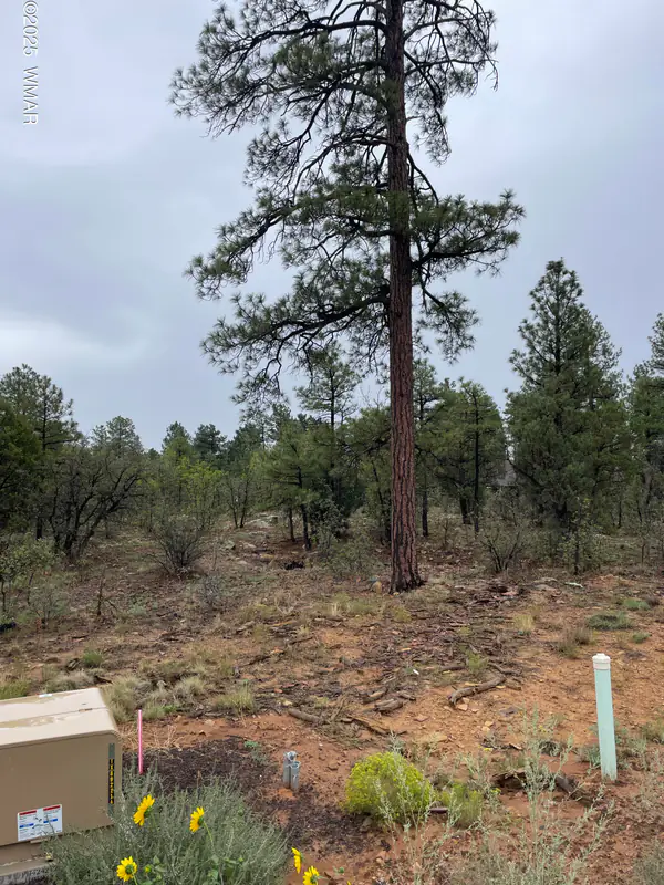 650 S Pine Haven Drive, Show Low, AZ 85901