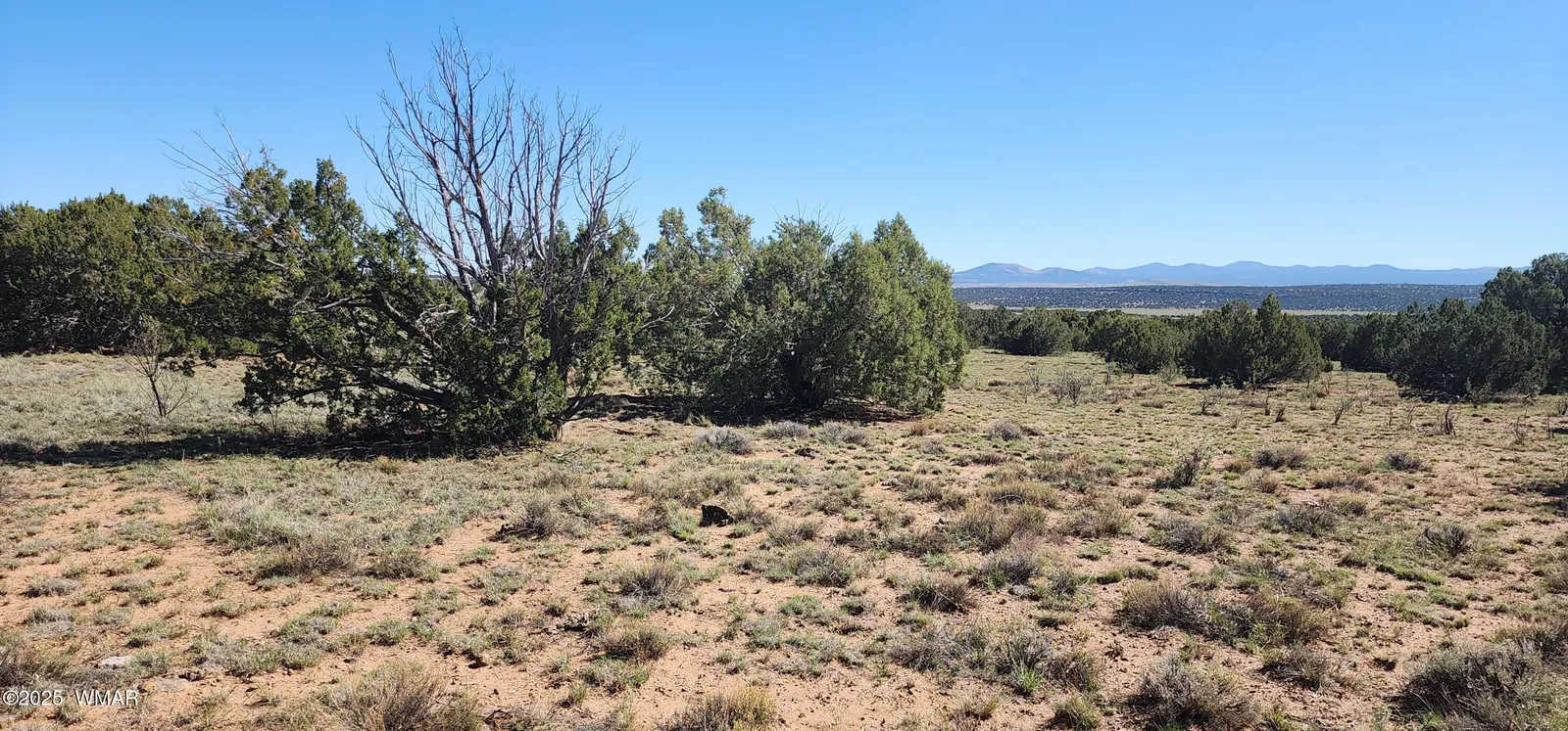 85 N 8522, Concho, AZ 85924 — Photo 1 of 30