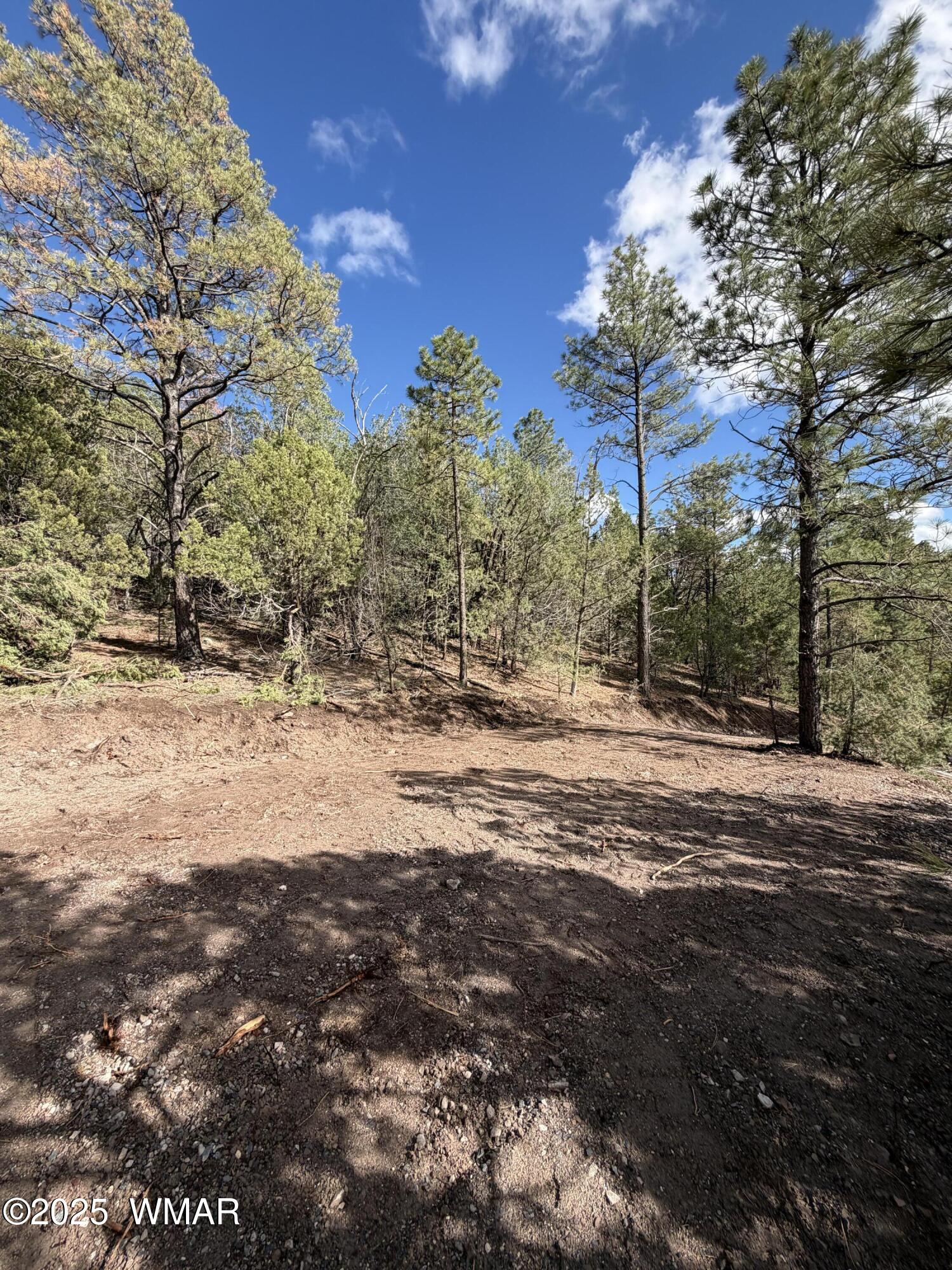 75 County Road 2108, Nutrioso, AZ 85932