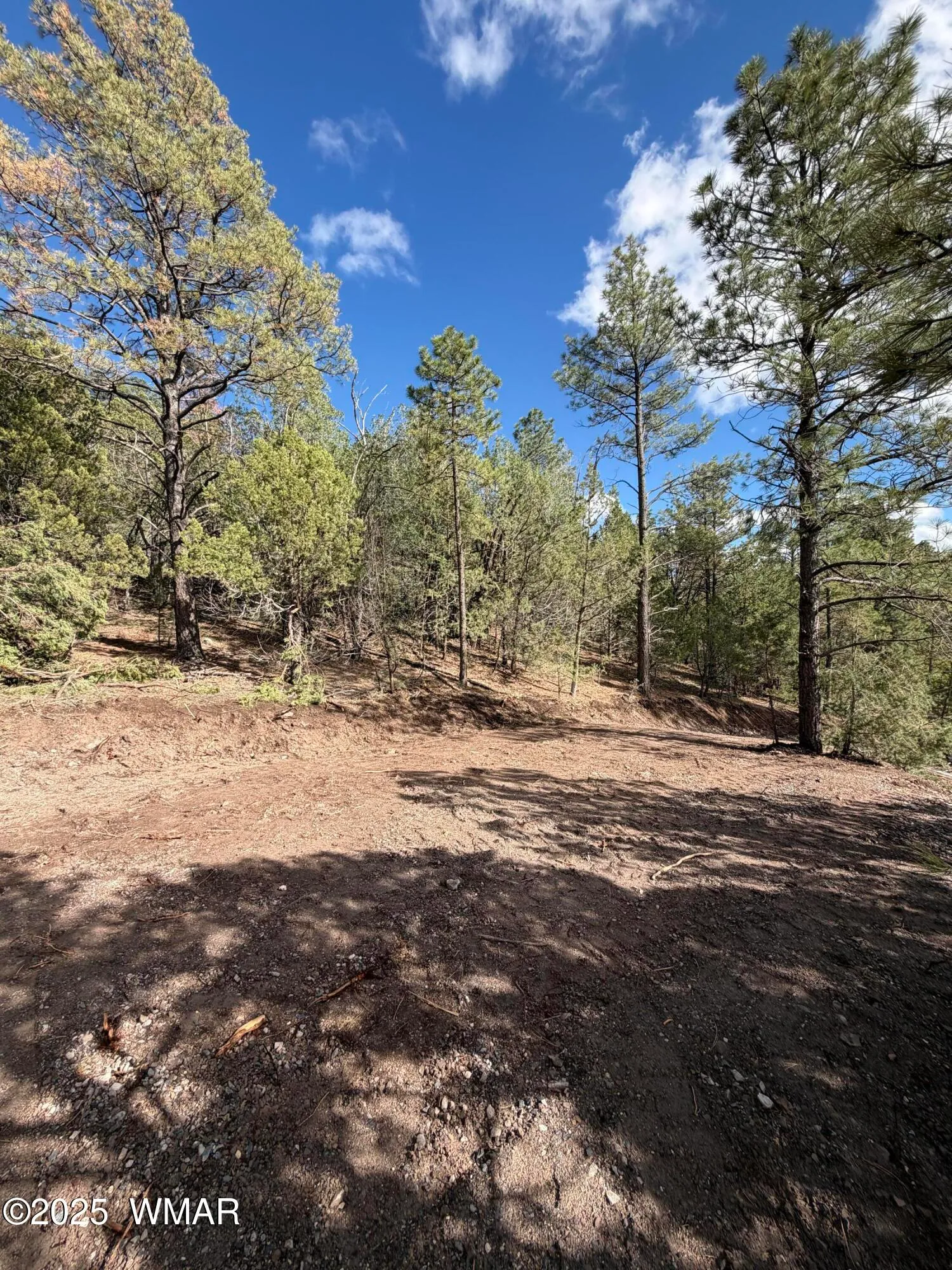 75 County Road 2108, Nutrioso, AZ 85932 — Photo 1 of 6