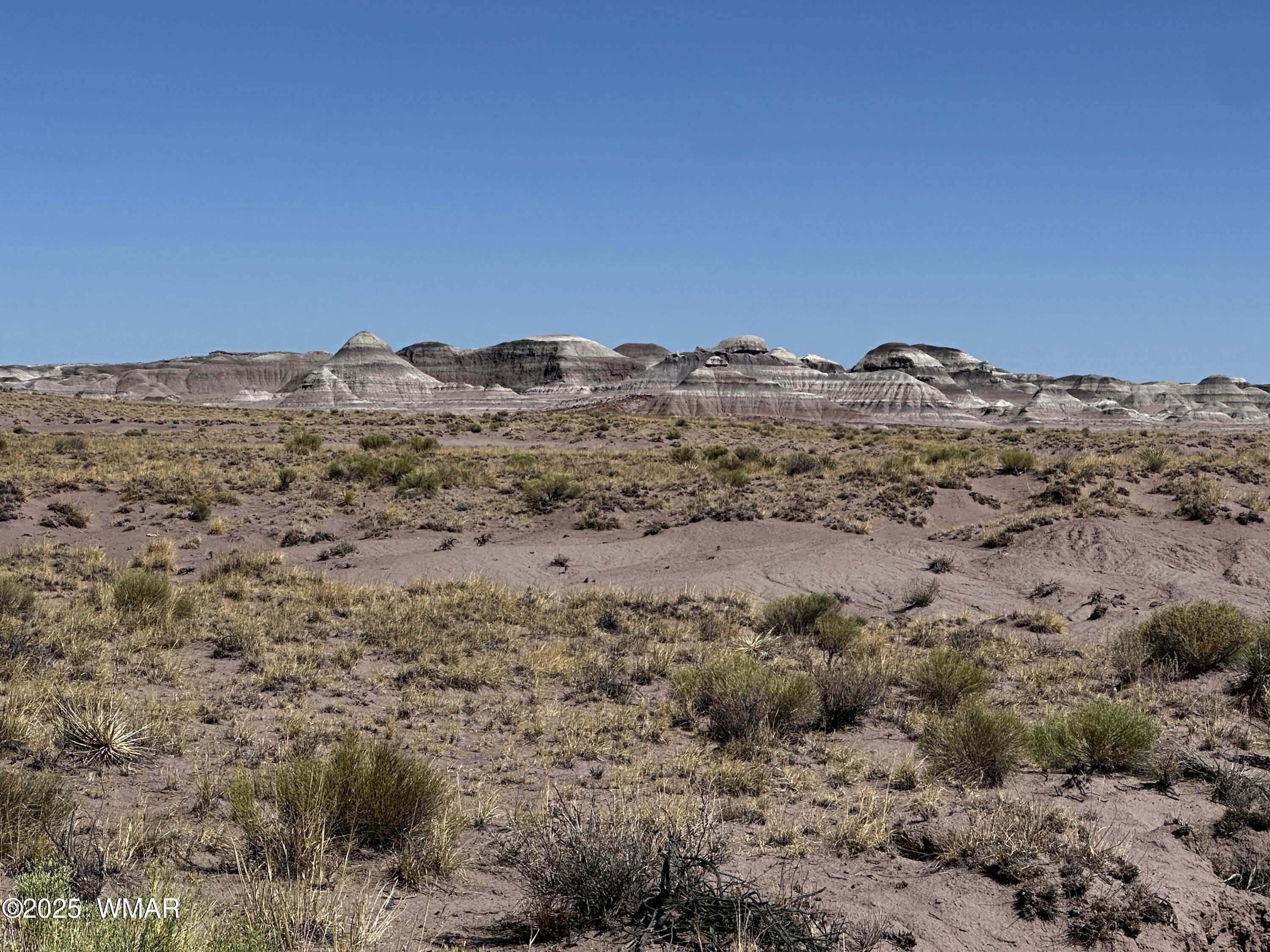 0003 N Porter Road, Joseph City, AZ 86032 — Photo 1 of 17
