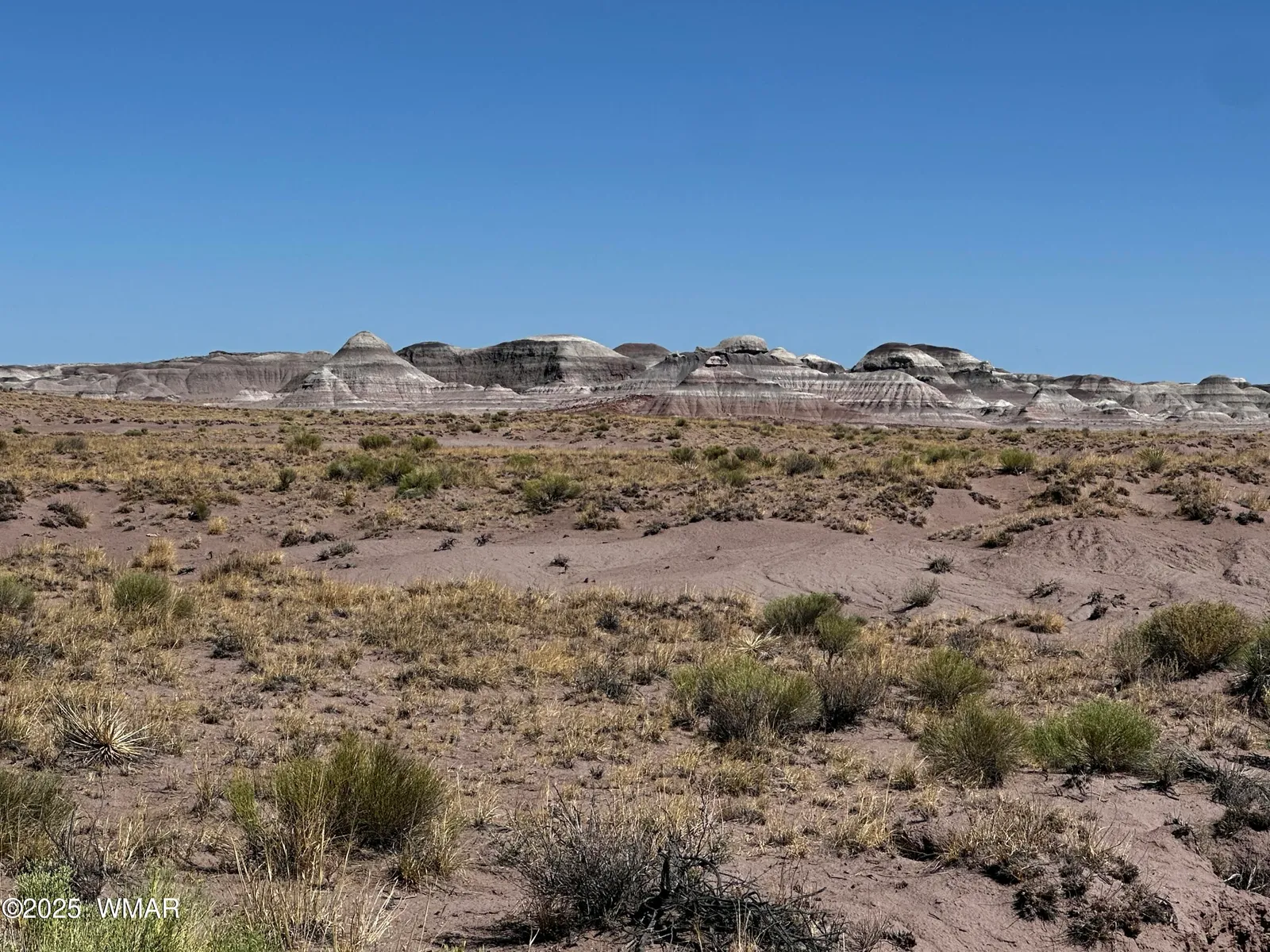 0003 N Porter Road, Joseph City, AZ 86032 — Photo 1 of 17