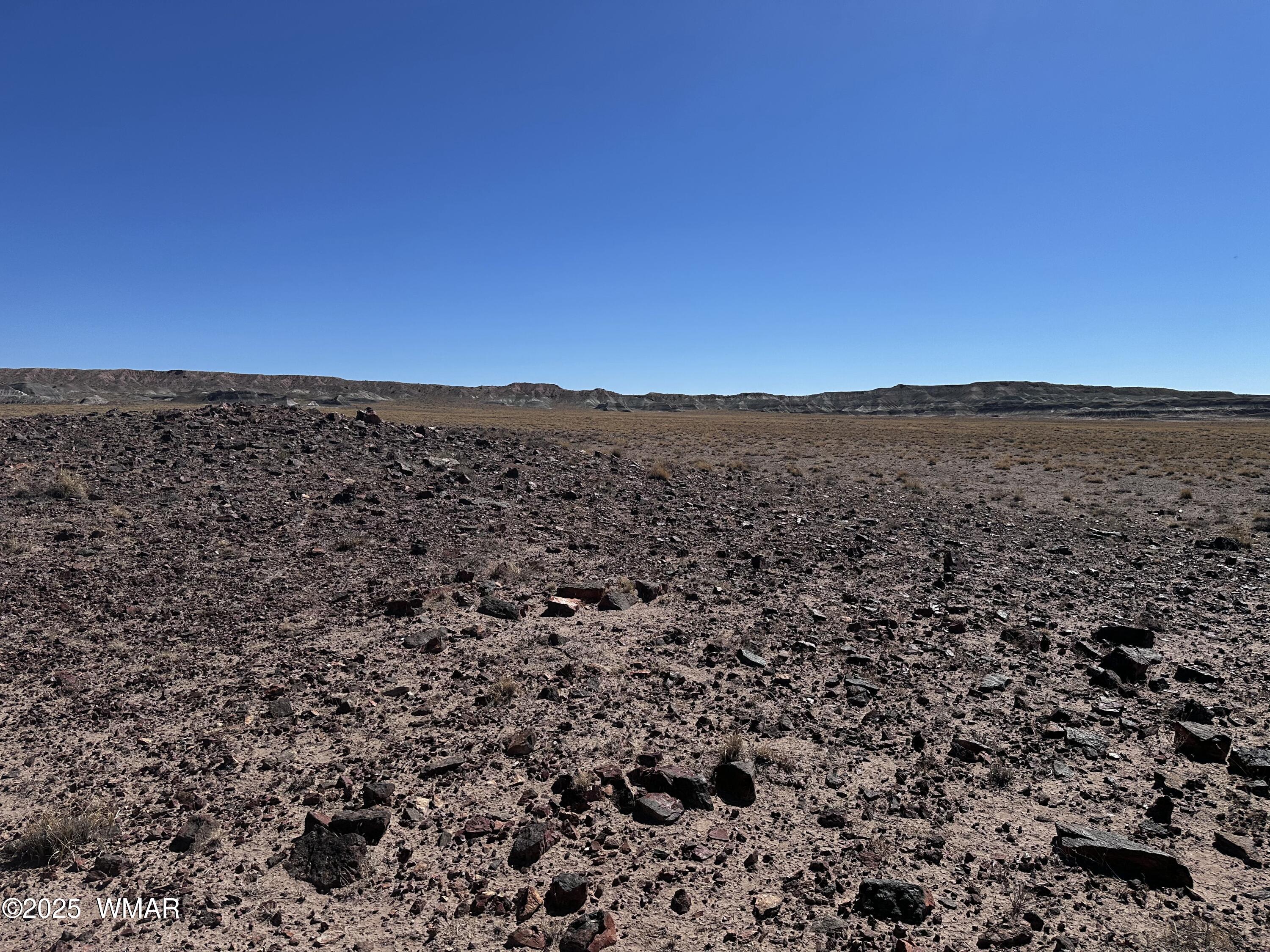 Thumbnail 13