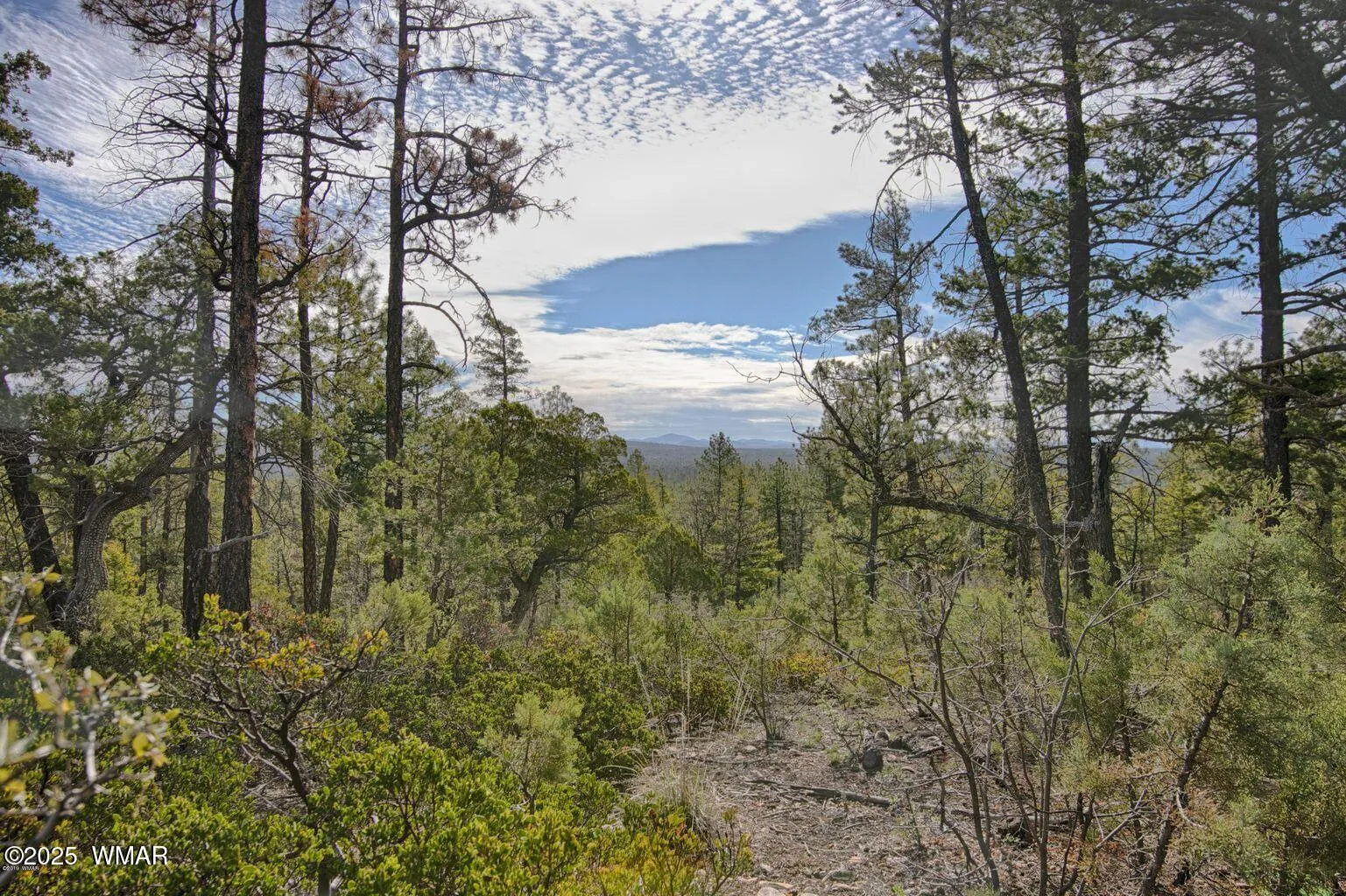 3350 W Rim Road Parcel #1, Lakeside, AZ 85929 — Photo 1 of 9