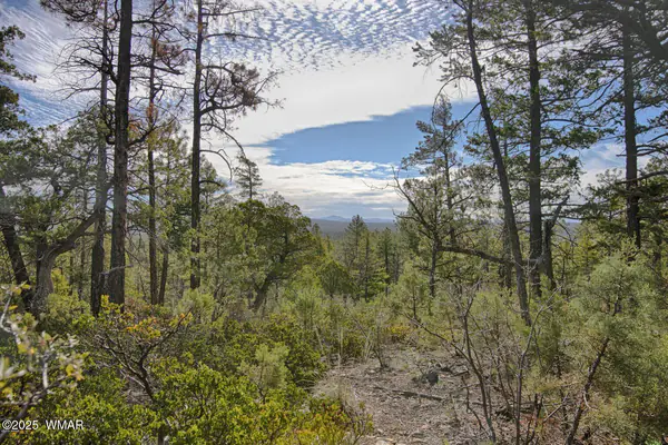 3350 W Rim Road Parcel #1, Lakeside, AZ 85929