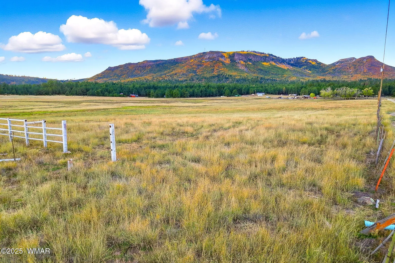 TBD ALPINE UNSUBDIVIDE, Alpine, AZ 85920 — Photo 1 of 16