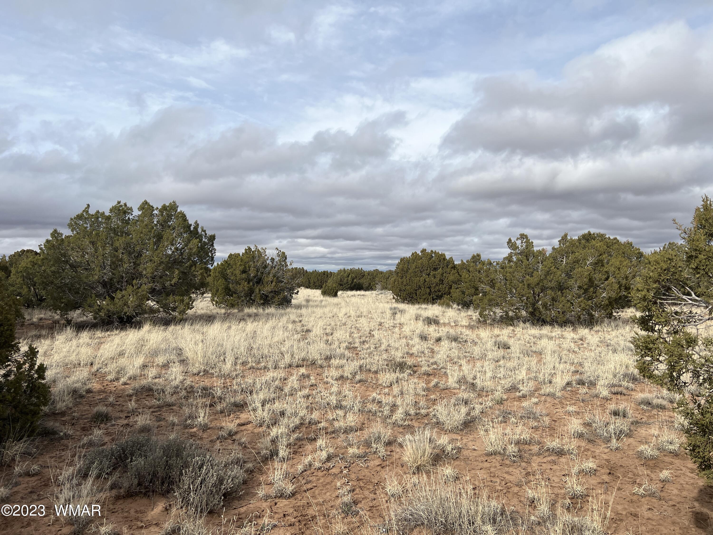 4053 S Pinto Road, 4049 E Pinto Rd, Snowflake, AZ 85937