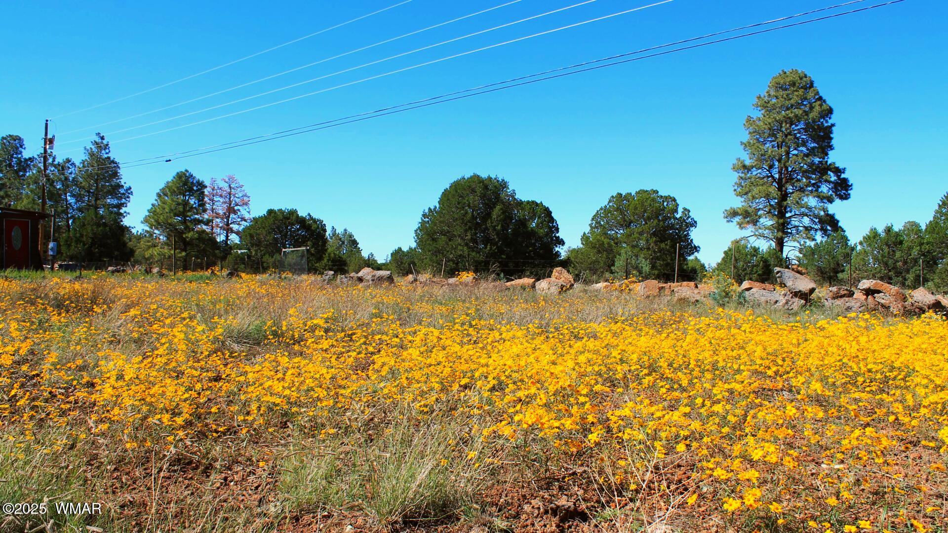 2966 Johnson Street, Lakeside, AZ 85929