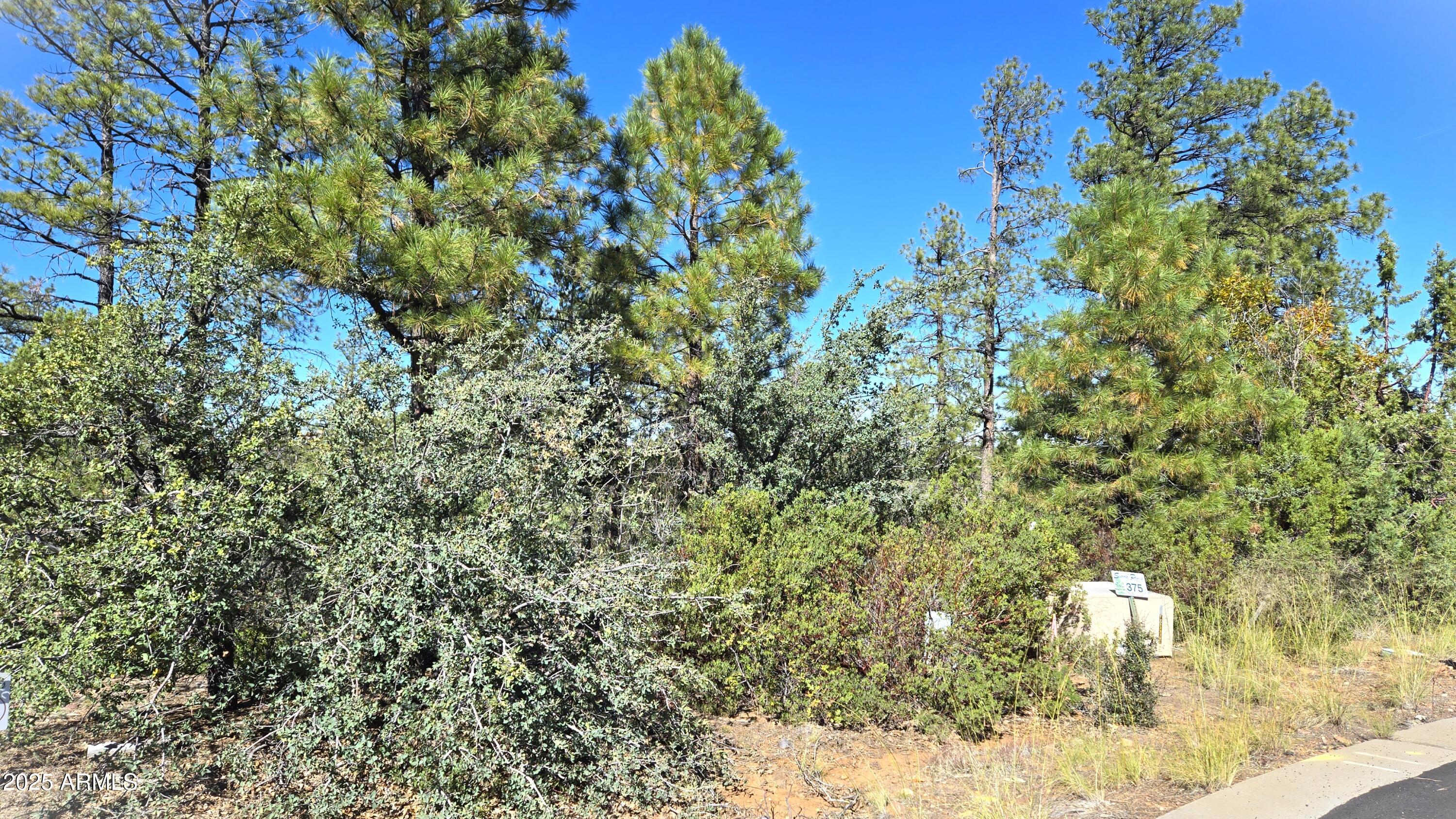 440 E Stoneridge Circle, Show Low, AZ 85901 — Photo 1 of 13