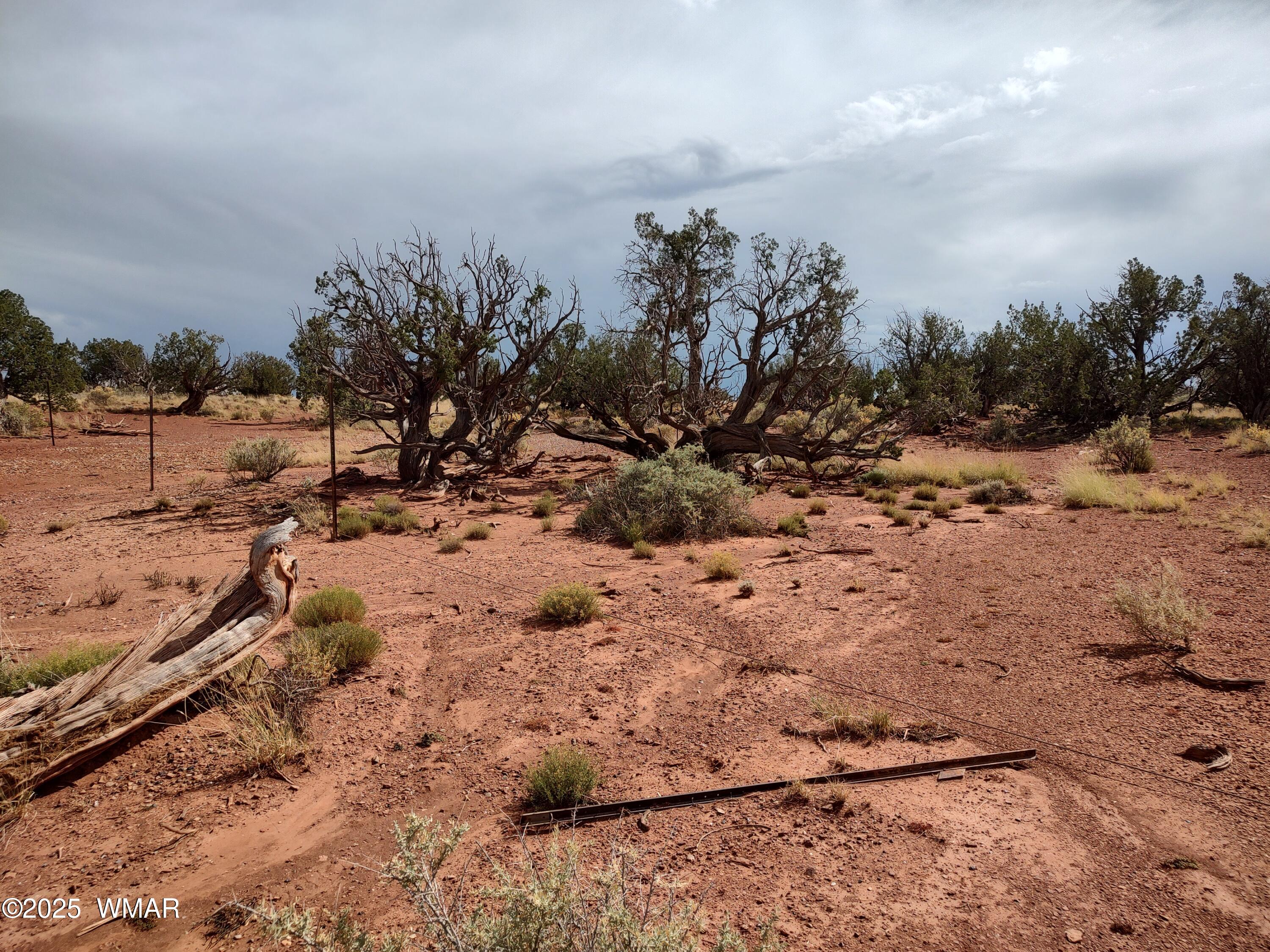 TBD 201-25-009 AND 010A, Heber, AZ 85928