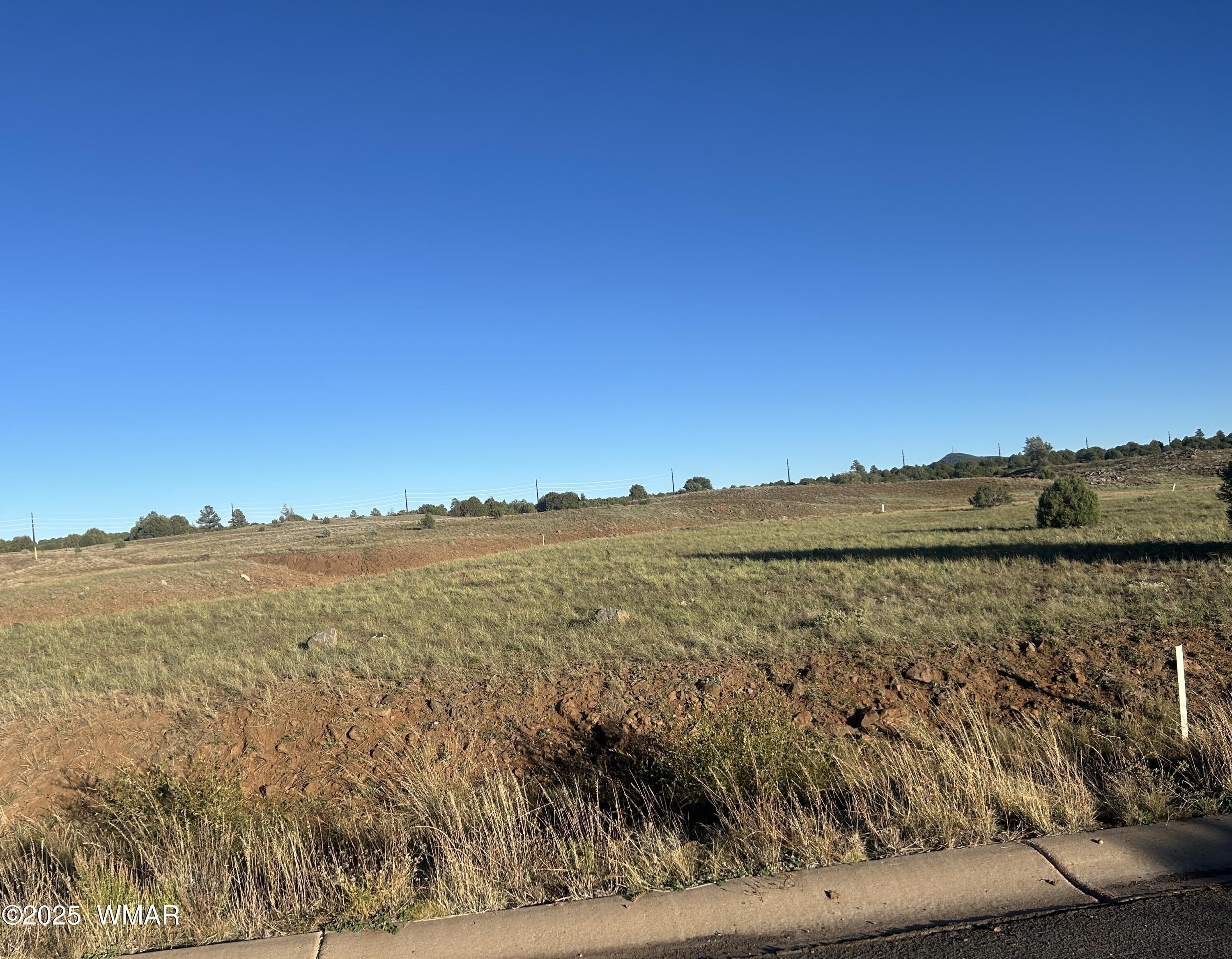 1081 S Ridgeway Place, Show Low, AZ 85901