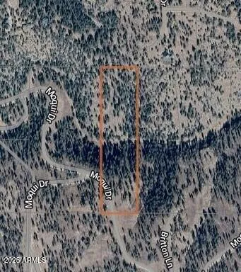 1129 W MOQUI Drive 9, Happy Jack, AZ 86024