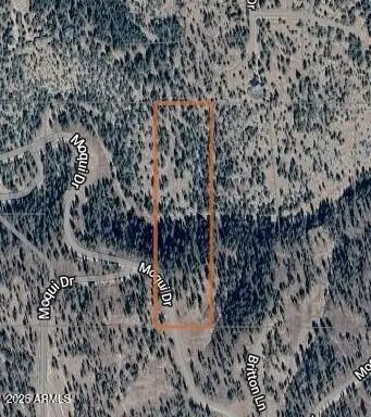 1129 W MOQUI Drive 9, Happy Jack, AZ 86024