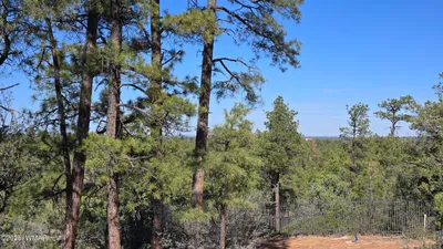 440 E Stoneridge Circle, Show Low, AZ 85901