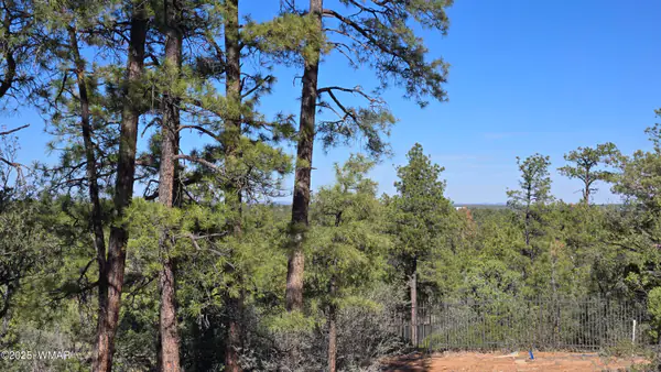 440 E Stoneridge Circle, Show Low, AZ 85901
