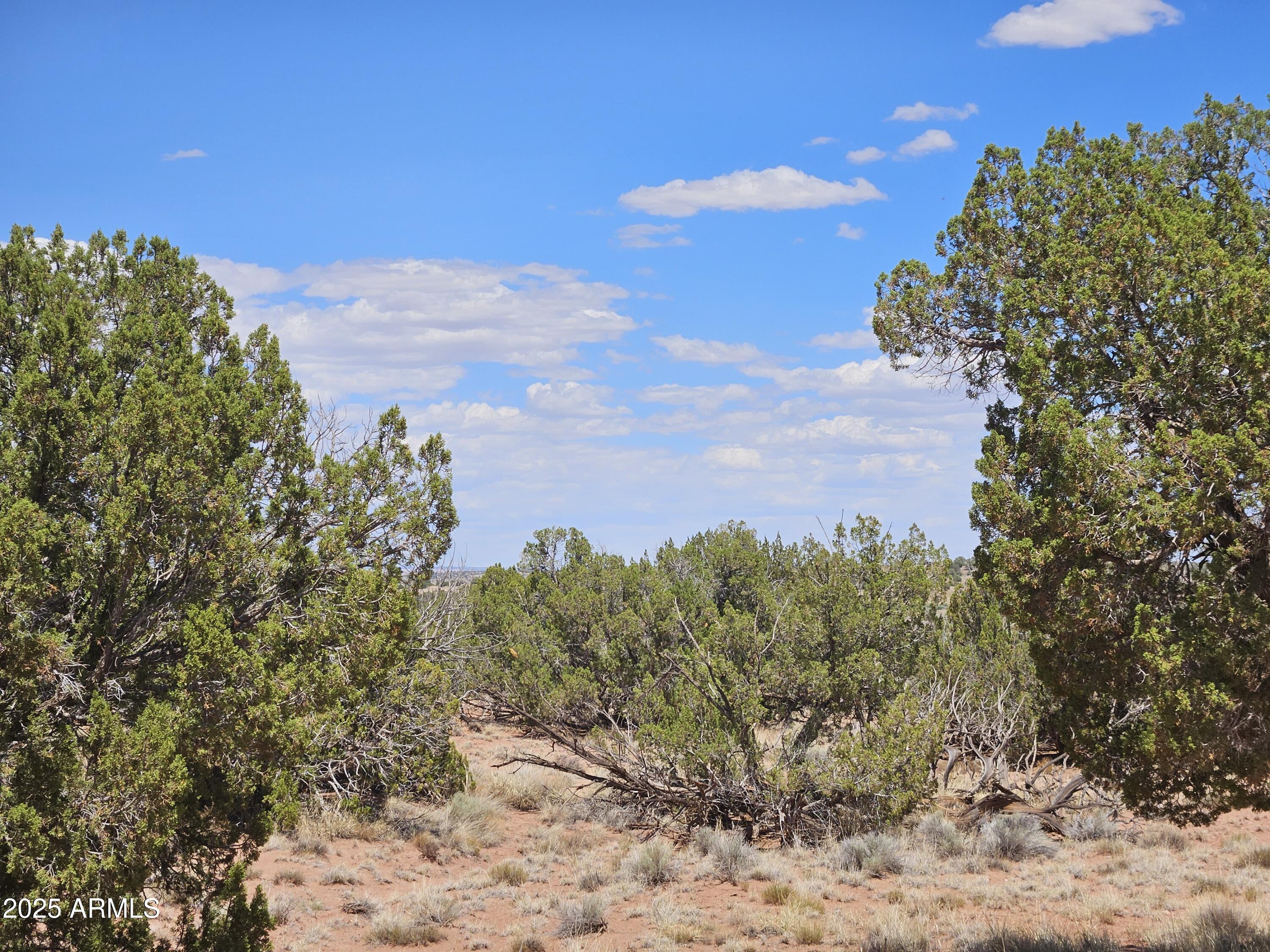 27 N N9183 72, Concho, AZ 85924 — Photo 1 of 9