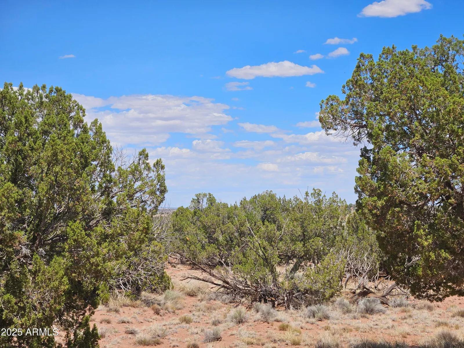 27 N N9183 72, Concho, AZ 85924 — Photo 1 of 9