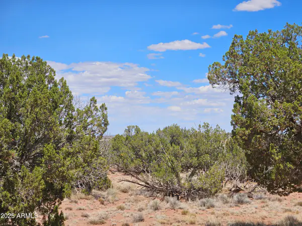 27 N N9183 72, Concho, AZ 85924