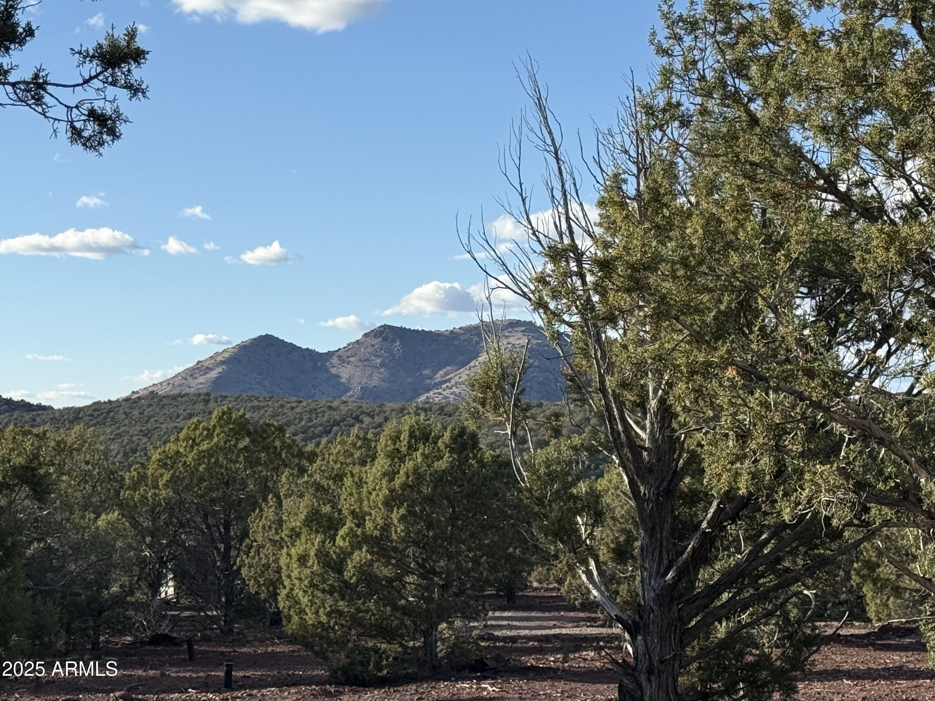 17375 Beale Wagon Road 458 and 457, Williams, AZ 86046 — Photo 1 of 45