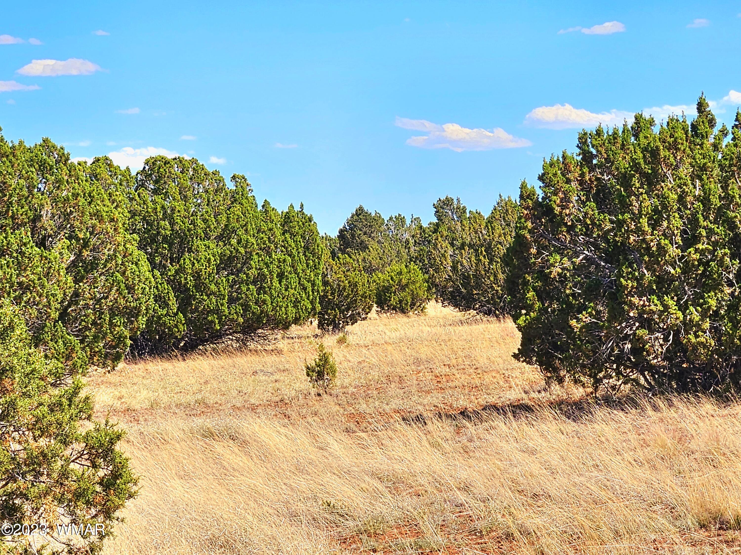 20 CO Road, # 8068, Concho, AZ 85924