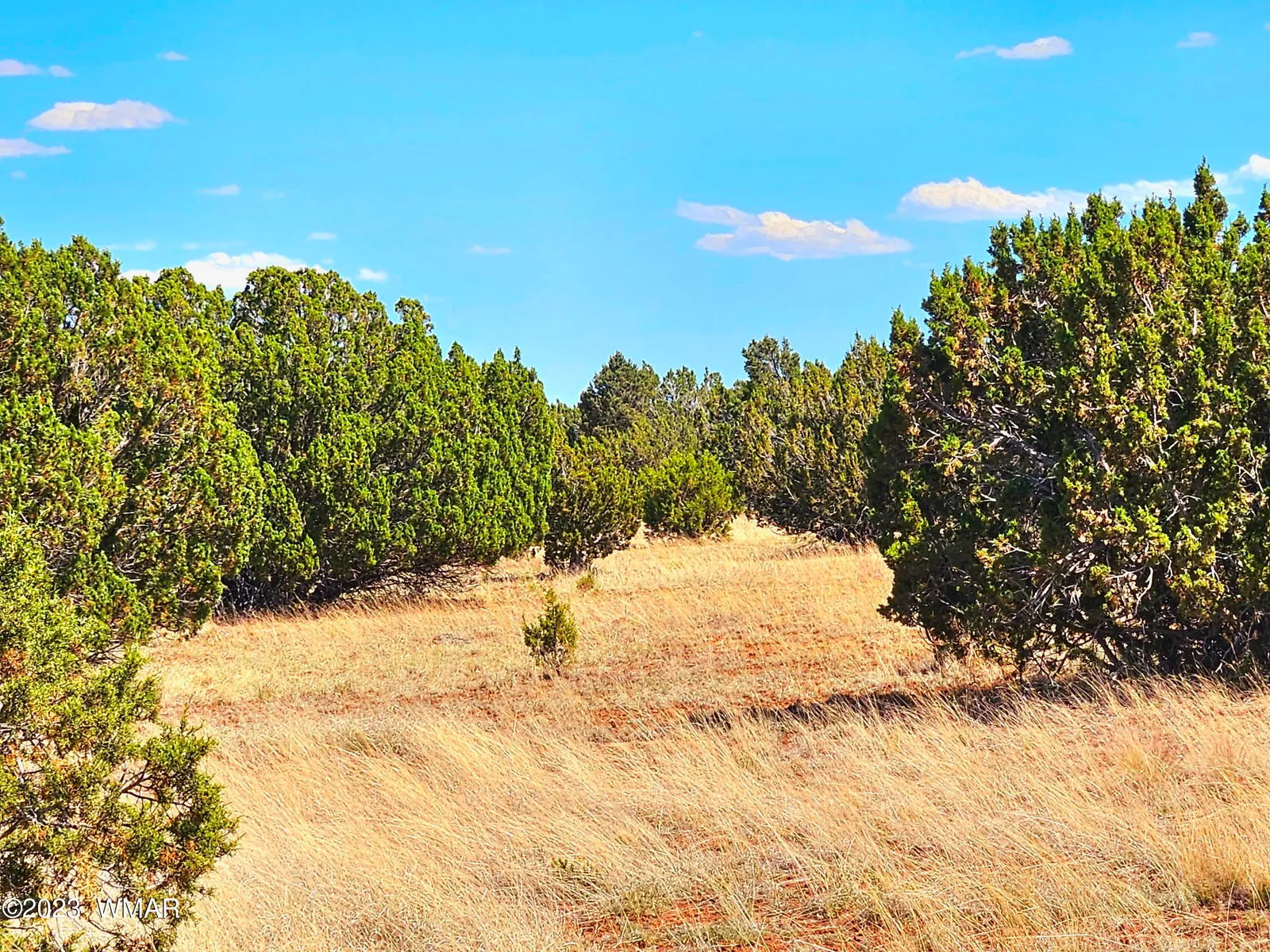 20 CO Road, # 8068, Concho, AZ 85924 — Photo 1 of 22