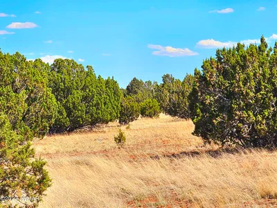 20 CO Road, # 8068, Concho, AZ 85924