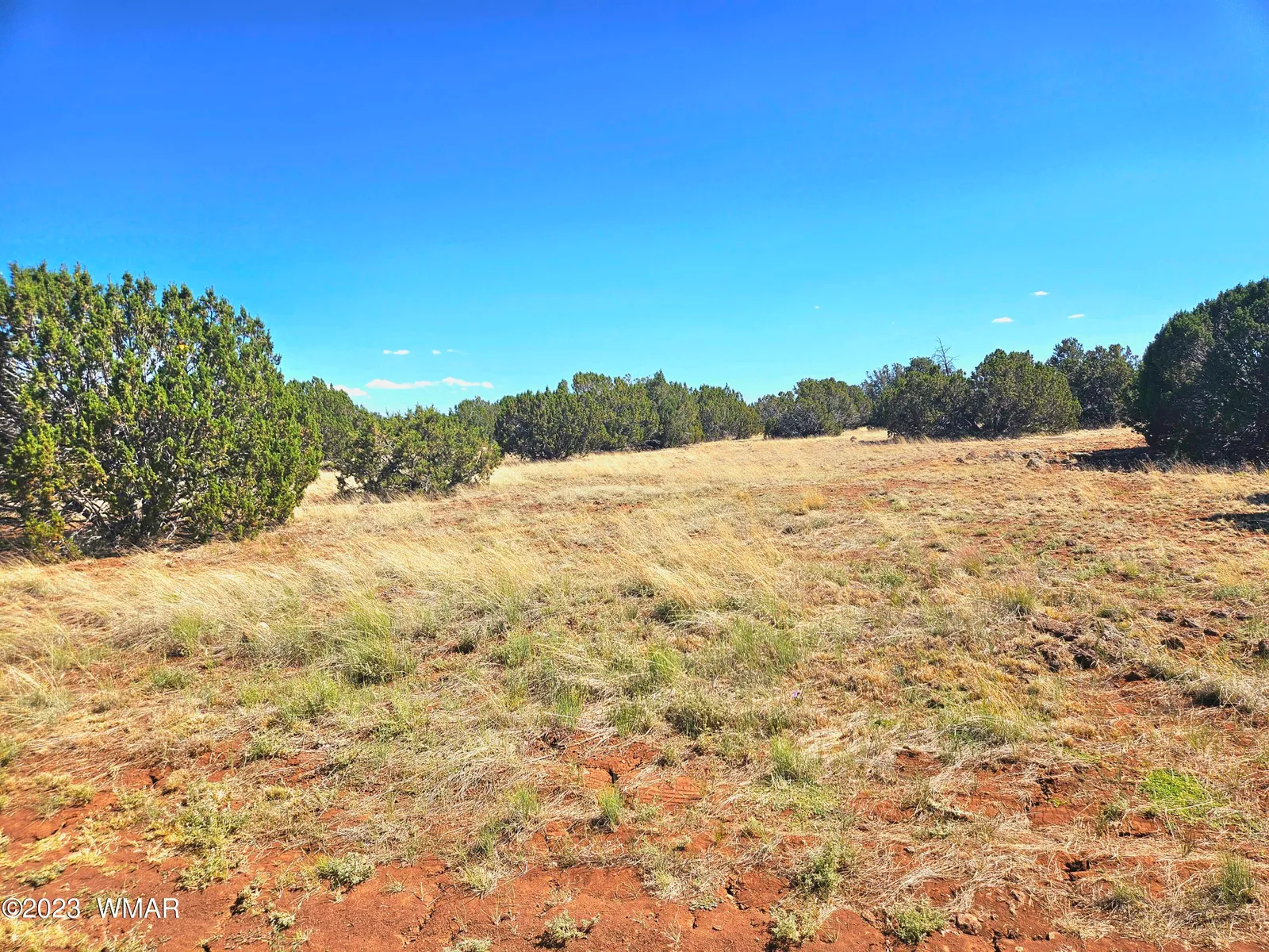 20 CO Road, # 8068, Concho, AZ 85924 — Photo 1 of 22