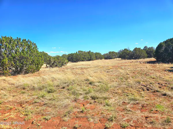20 CO Road, # 8068, Concho, AZ 85924