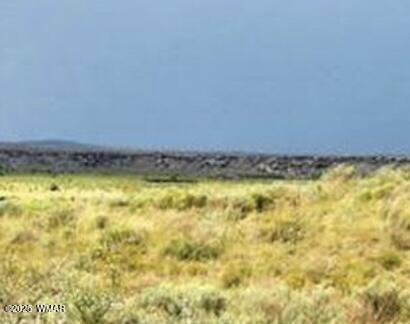 tbd Bell Brand Ranches Lot 29, Sanders, AZ 86512