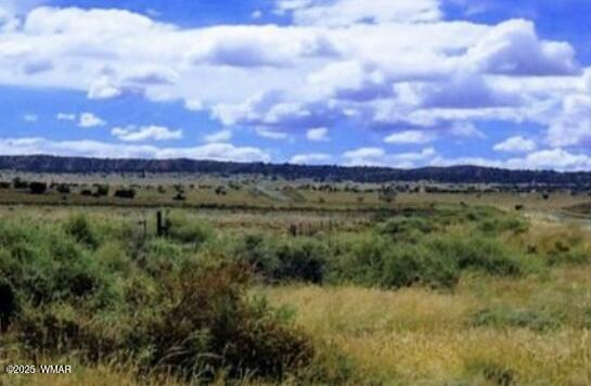 tbd Bell Brand Ranches Lot 115, Sanders, AZ 86512 — Photo 1 of 1