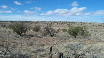 5280 Concho Ocho Road, Snowflake, AZ 85937