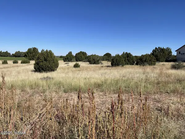 1951 Creekside Circle, Show Low, AZ 85901