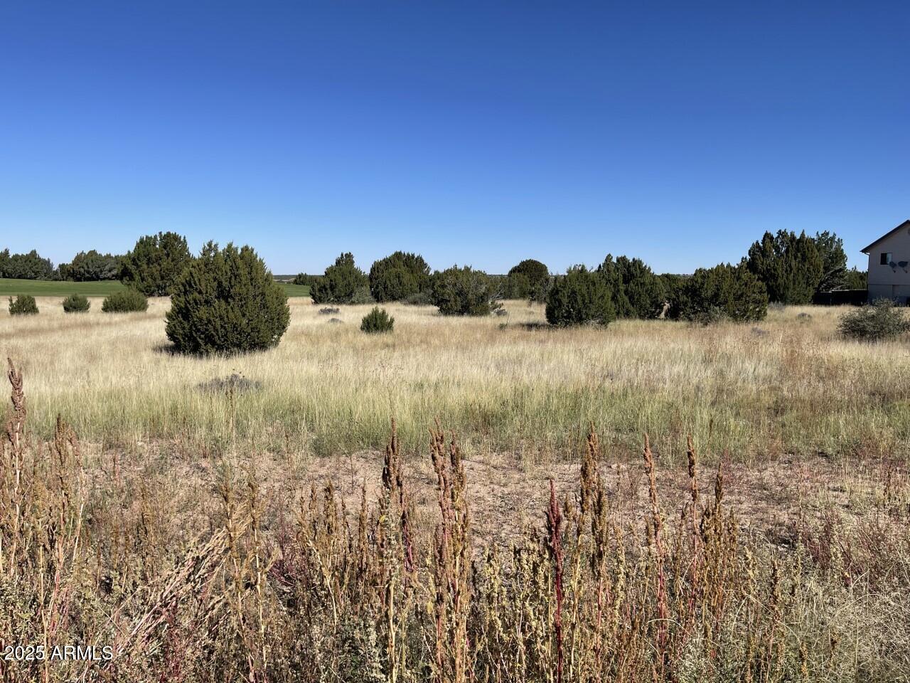 1951 Creekside Circle, Show Low, AZ 85901 — Photo 1 of 19