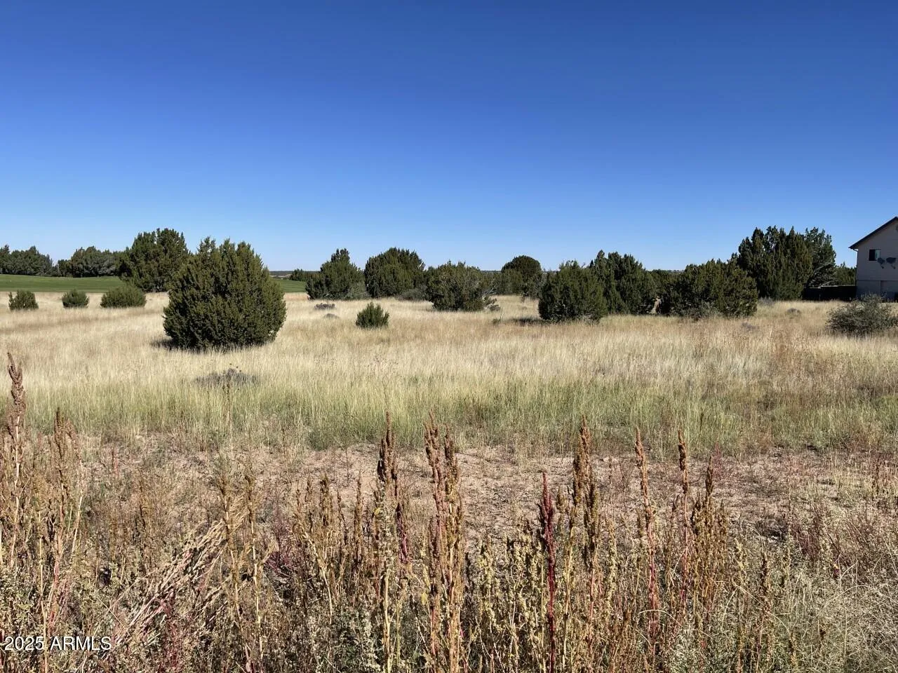 1951 Creekside Circle, Show Low, AZ 85901 — Photo 1 of 19