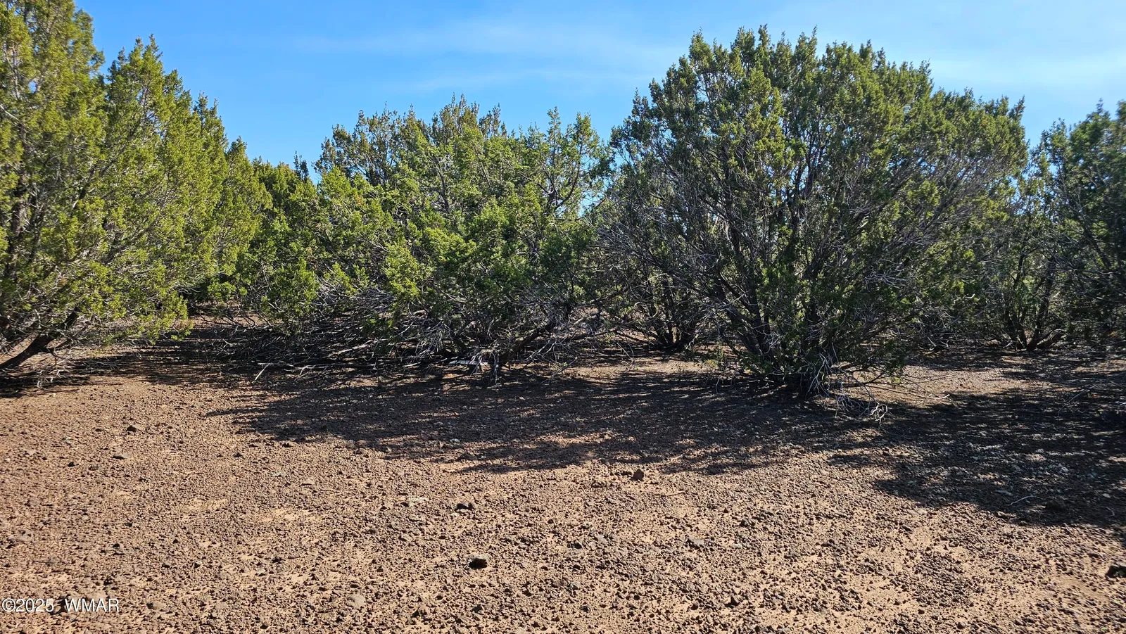 41 Acr 3119, # CO, Vernon, AZ 85940 — Photo 1 of 19