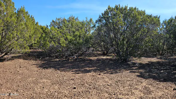 41 Acr 3119, # CO, Vernon, AZ 85940