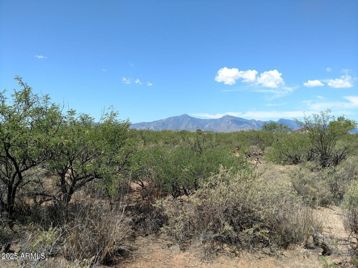 TBD Happy Trail A, Hereford, AZ 85615 — Photo 1 of 5