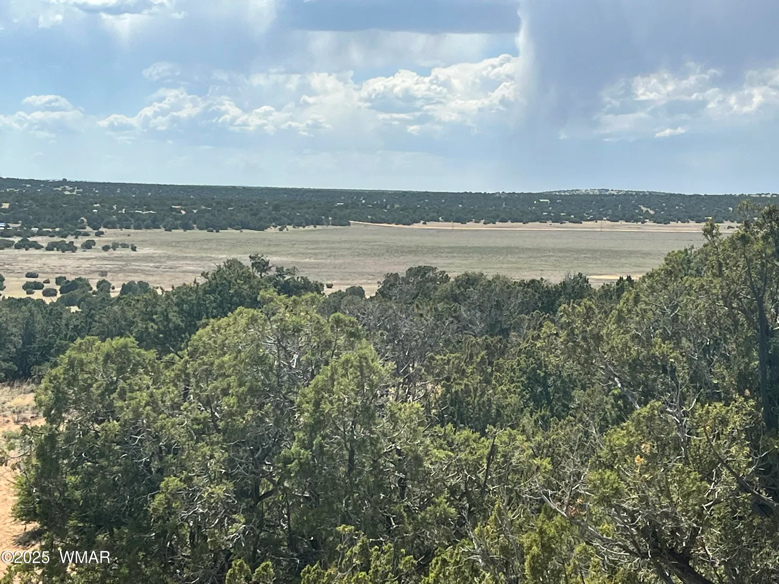 Lot 122/123, Concho, AZ 85924 — Photo 1 of 1